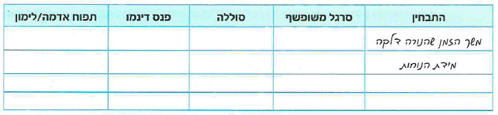 (בספר איור, היעזר במנחה) 